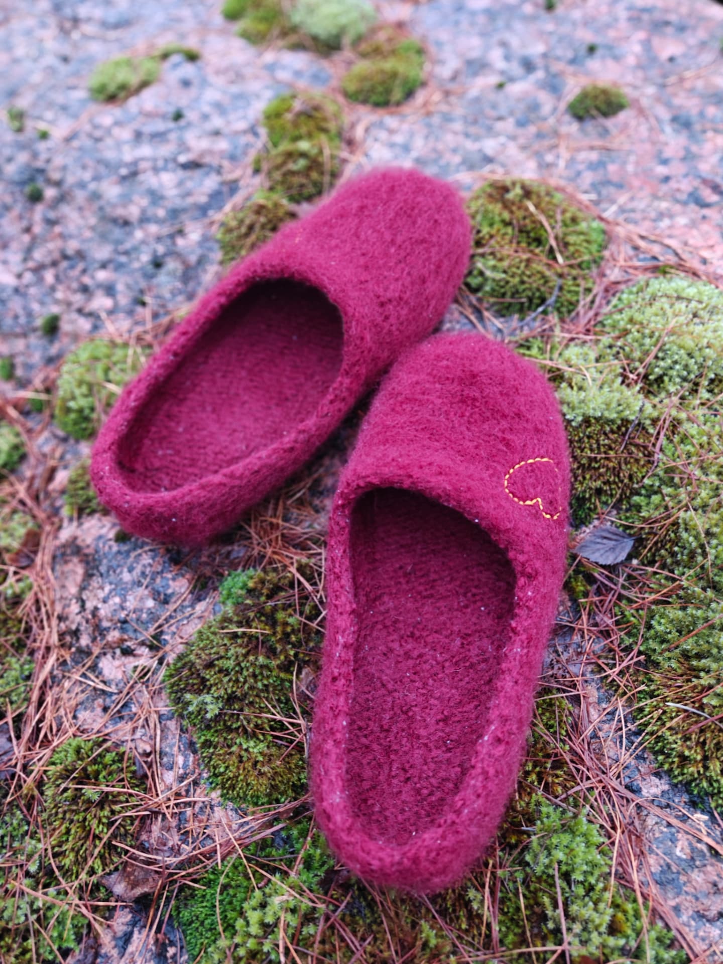 Dark grape slippers on moss